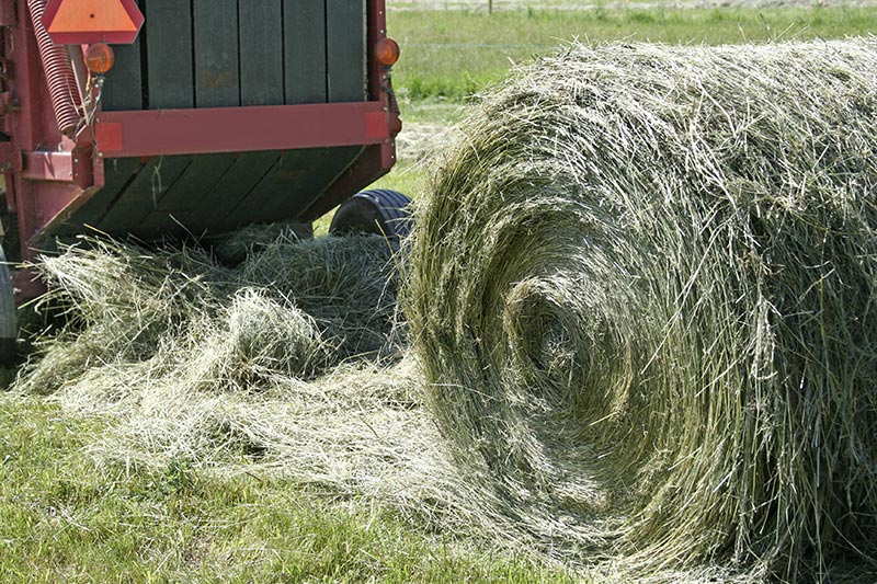 WCCO-Baler-Belts WCCO-Baler-Belts